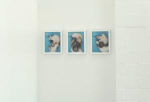 Untitled Triptych, (19 months #1, #2, #3)